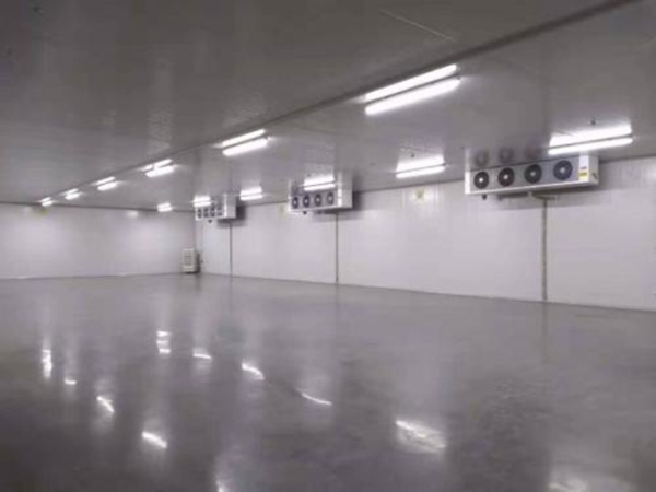 建設(shè)1500㎡食品速凍低溫庫優(yōu)勢及應(yīng)用有哪些？